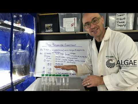Algae Dose Response Experiment