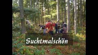 preview picture of video 'Bogenschiesen Brudersbrunn'
