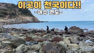 ;"여수-여기가-천국이다!-자연산-먹거리-널렸다!!"