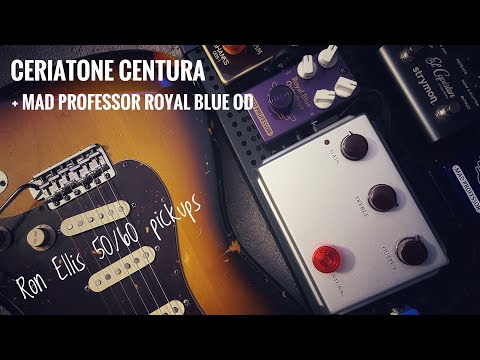 Shuffle with Ron Ellis 50/60 pickups + Ceriatone Centura + Mad Professor Royal Blue + Two Rock SSS