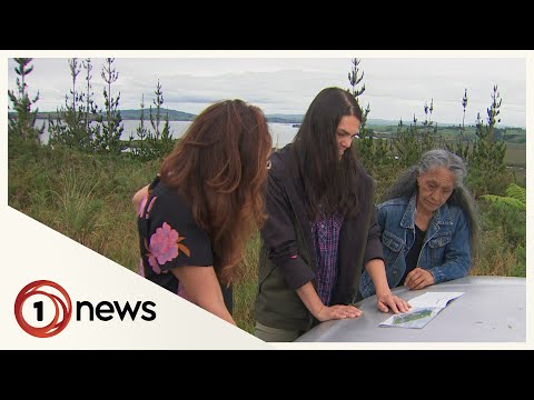 Govt to spend $55 million on Māori housing in Te Tai Tokerau