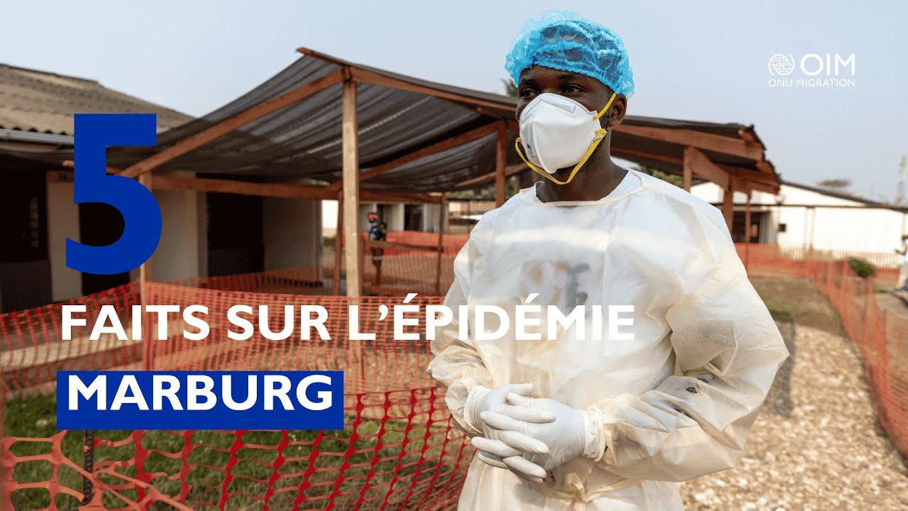 5 Faits sur l'Épidémie Marbrurg