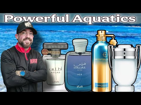 Top 10 Potent Aquatic Fragrances That Bring The POWER!