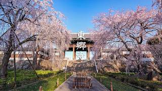 Togoji Temple video preview