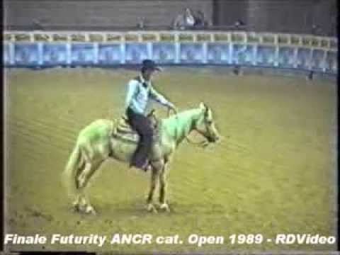 RDVideo - Finale del Futurity ANCR 1989 cat. Open - video 1 di 5