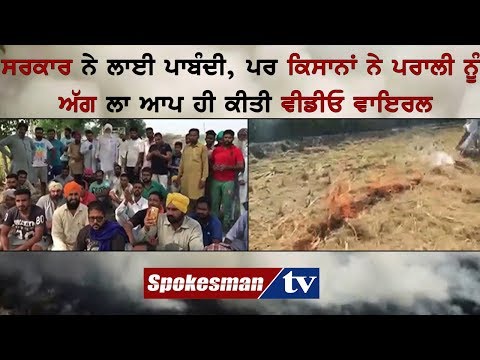 ਸਰਕਾਰ ਨੇ ਲਾਈ ਪਾਬੰਦੀ, ਪਰ ਕਿਸਾਨਾਂ ਨੇ ਪਰਾਲੀ ਨੂੰ ਅੱਗ ਲਾ ਆਪ ਹੀ ਕੀਤੀ ਵੀਡੀਓ ਵਾਇਰਲ