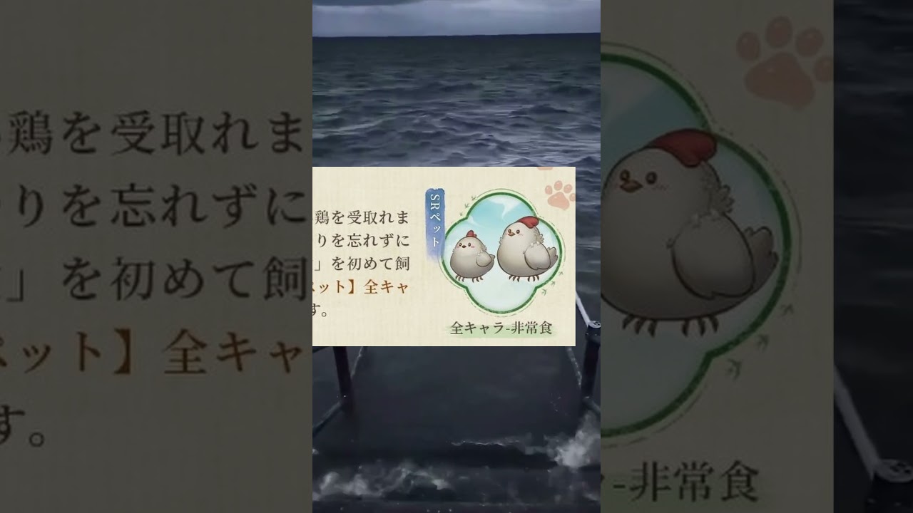 【第五人格】新ペットの名前が悲惨すぎるｗｗｗｗ　#idv  #第五人格  #identityv #shorts