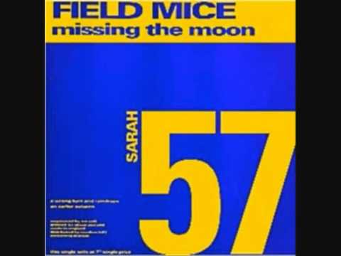Missing The Moon - Trembling Blue Stars
