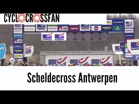 Cyclocross 2015| Scheldecross Antwerpen| Men