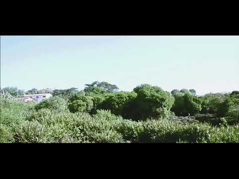 Nyimss - Frère Luci (Clip Officiel)