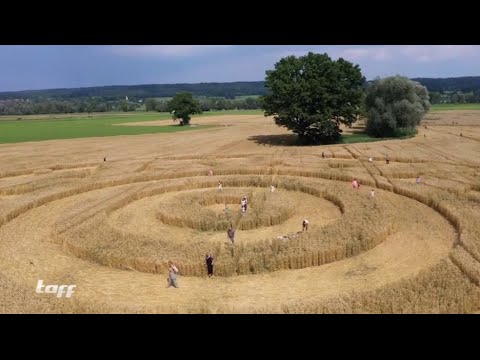 Kornkreis 2020 Ammersee  -  Pro 7