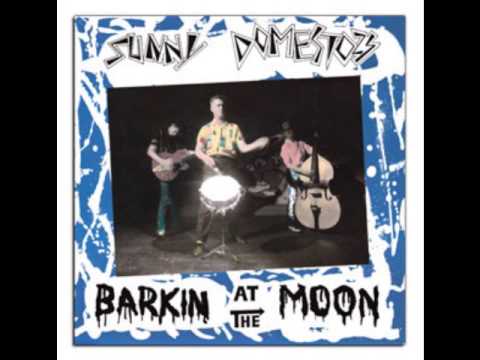 Sunny Domestozs - Barkin at the Moon