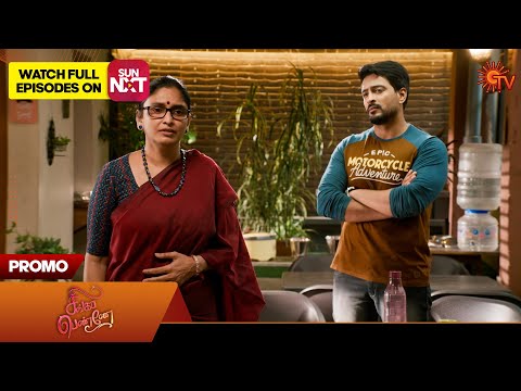 Singappenne - Promo | 17 Nov 2025 | Tamil Serial | Sun TV