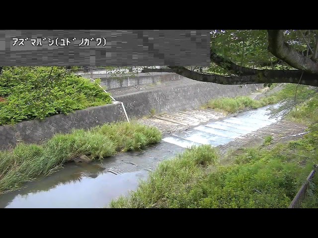 東橋映像監視局