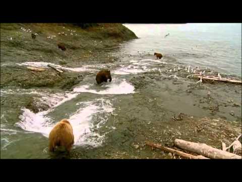 Tonny Nesse - Indestructible (Original mix) A State Of Trance 614