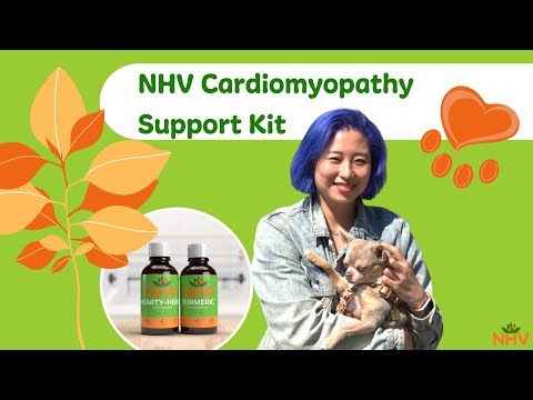 NHV Cardiomyopathy Super Support Kit For Pets