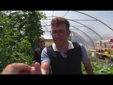 Expedition Mainschleife - Volkach Restaurant Schwane 1404 und Weinstock