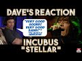 Dave S Reaction Incubus Stellar