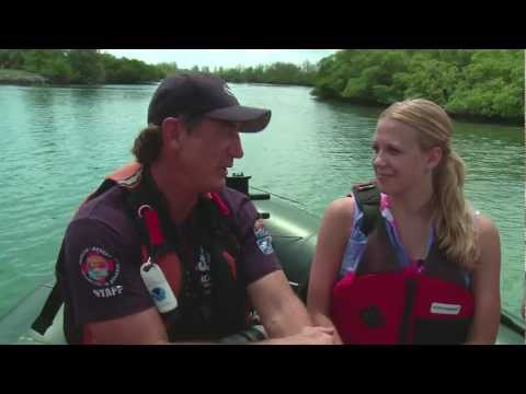 Aqua Kids 2011-18 Dolphin Tracking Part 3