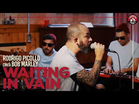 Rodrigo Piccolo canta Bob Marley - Waiting in Vain // Lagunitas Minhoca Sessions