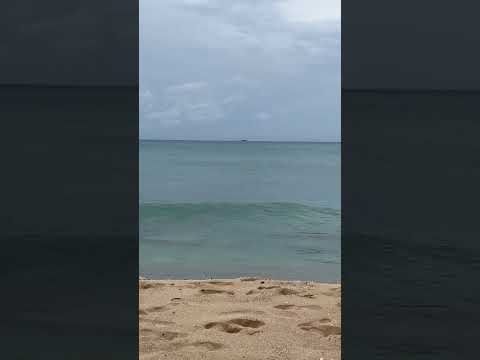 Videos del Hawksbill Resort Antigua 4★ en Five Islands Village, Antigua y Barbuda
Ver Más
Ver
Precios
16
Cerrar
Consulta por Whatsapp 🇦🇷
Booking
Tripadvisor
Expedia
Agoda
Travelocity
Orbitz
Priceline
Trip
Skyscanner
Despegar
Kayak
Hoteles
Trivago
Lastminute
Hotwire
Tui
