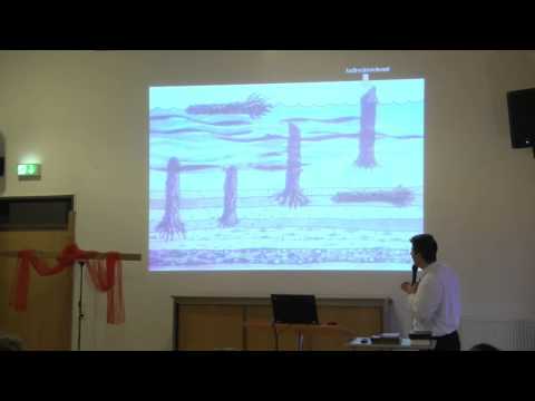 Die Schöpfung Gottes Teil 2