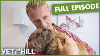 Vet's Own Dog Needs Life-Saving Surgery | Full Episode