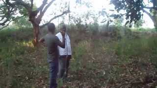 preview picture of video 'thally mango garden@13lacs/acre,1km thally'