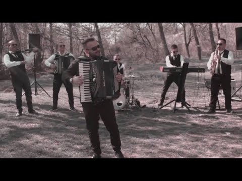 BORKO & TIGROVI - tigar KOLO (NOVO 2019)