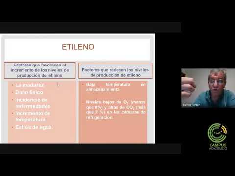 Teórico N°2. Pos cosecha y calidad (Parte 3)