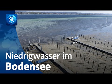 Nach langer Trockenperiode extremes Niedrigwasser am Bodensee