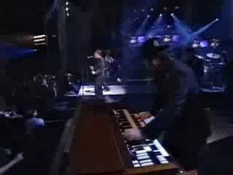 Wallflowers & Bruce Springsteen   One Headlight