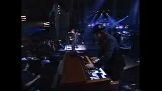 Wallflowers &amp; Bruce Springsteen   One Headlight