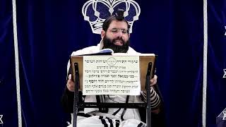 דף היומי עבודה זרה דף נ"ג ע"ב ¤ הרב נתנאל אברז'ל ¤ בית הכנסת "בית מרדכי" (מוסדות תורת דוד) - התמונה מוצגת ישירות מתוך אתר האינטרנט יוטיוב. זכויות היוצרים בתמונה שייכות ליוצרה. קישור קרדיט למקור התוכן נמצא בתוך דף הסרטון דף היומי עבודה זרה דף נ"ג ע"ב ¤ הרב נתנאל אברז'ל ¤ בית הכנסת "בית מרדכי" (מוסדות תורת דוד) - התמונה מוצגת ישירות מתוך אתר האינטרנט יוטיוב. זכויות היוצרים בתמונה שייכות ליוצרה. קישור קרדיט למקור התוכן נמצא בתוך דף הסרטון