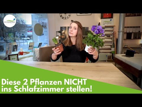 2 Pflanzen, die du NICHT in deinem Schlafzimmer haben solltest!