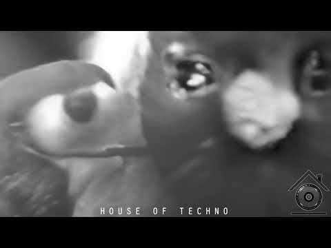 ACID TECHNO I HARD TECHNO (Amelie Lens, T78, Space 92, Regal, The YellowHeads, Hell Driver, AKKI)