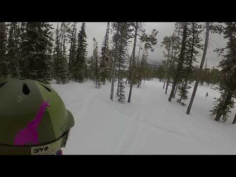 Forbidden Forest | Opening Day 2018