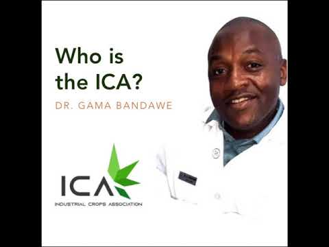 , title : 'Who is the Industrial Crops Association? - ICA Malawi'
