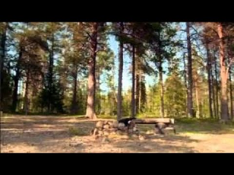 Sommarmord med Leif GW Persson - Del 1