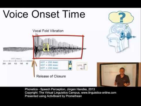 PHO130 - Speech Perception