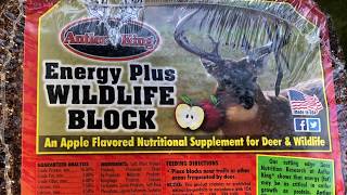 Antler King Wild Life Block