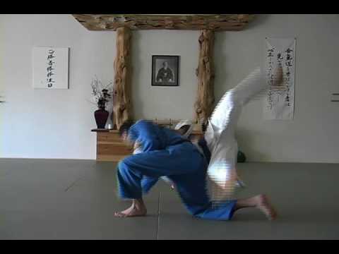 Blue Belt Requirements BJJ Video