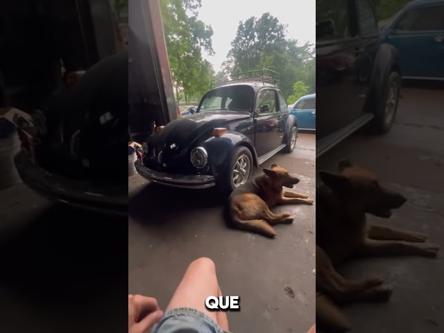 Vídeo relacionado con LKRXW Luz de Cambio para Tacómetro Coche 12V Azul Shift Light Regulable Luz de Advertencia Cambio de Marcha Indicador Ajustable Alarma Aviso Lumínica 1000-11000 RPM