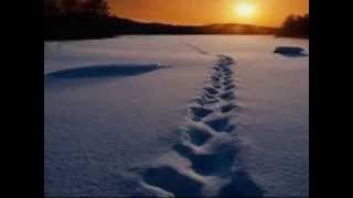 ENGENHEIROS DO HAWAII-CONCRETO E ASFALTO