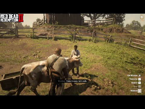 This Is How High Honor Players Rob NPCs In RDR2