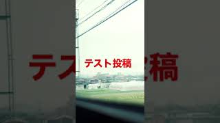 テスト投稿