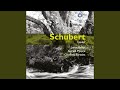 Gesänge aus Wilhelm Meister, Op. 62, D. 877: No. 2, Lied der Mignon I