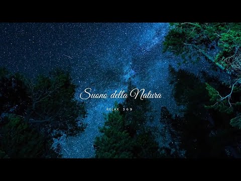 Suoni del bosco della foresta della natura - ruscelli - per Dormire - RELAX 🌸🌳🌲ASMR