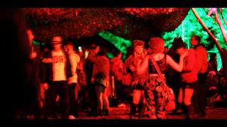 TRENCHTOWN, ELECTRIC PICNIC 2013