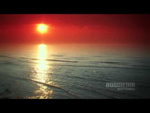 Elektrofish - Ocean Lounge - Sundown